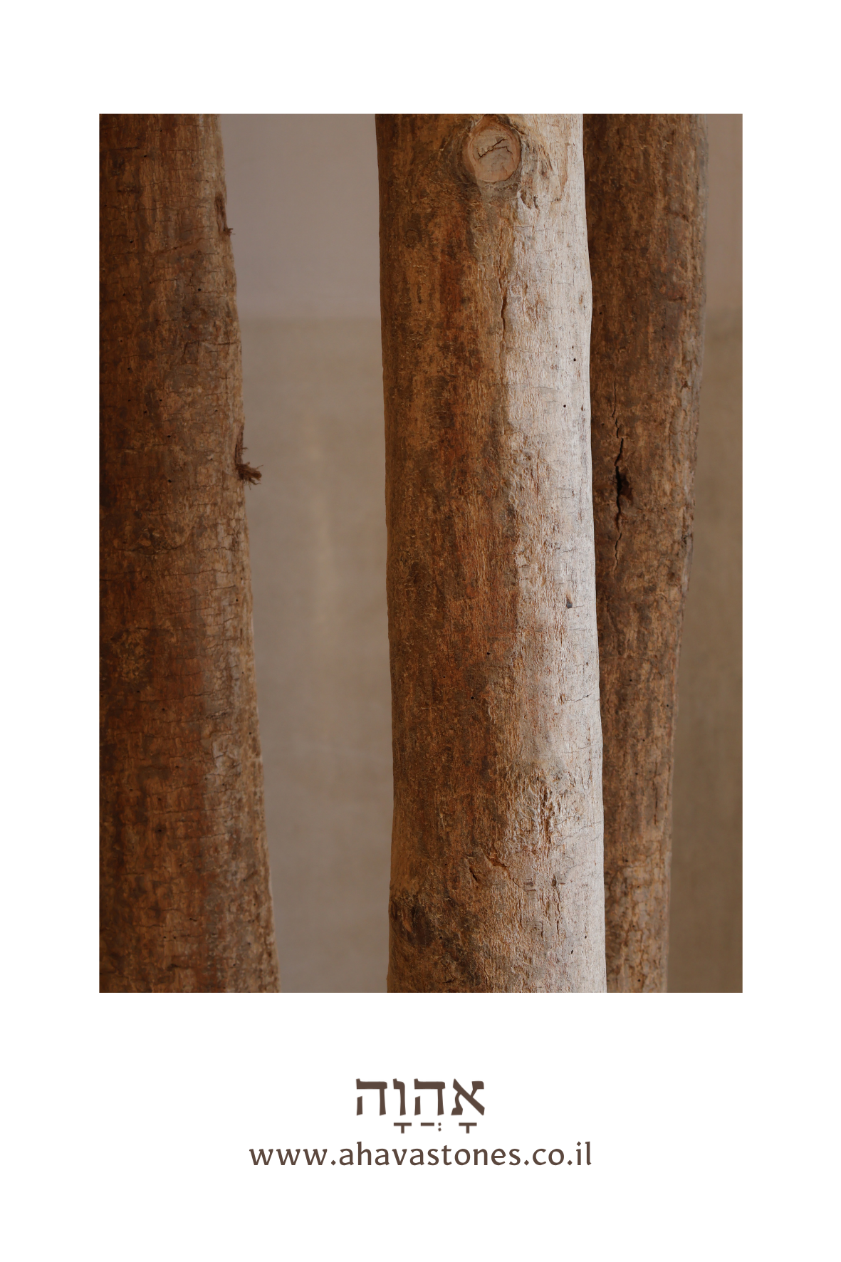 כרטיסי ברכה