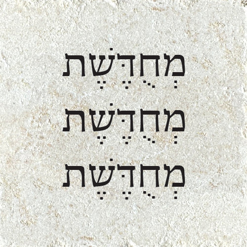 מחודשת מחודשת מחודשת