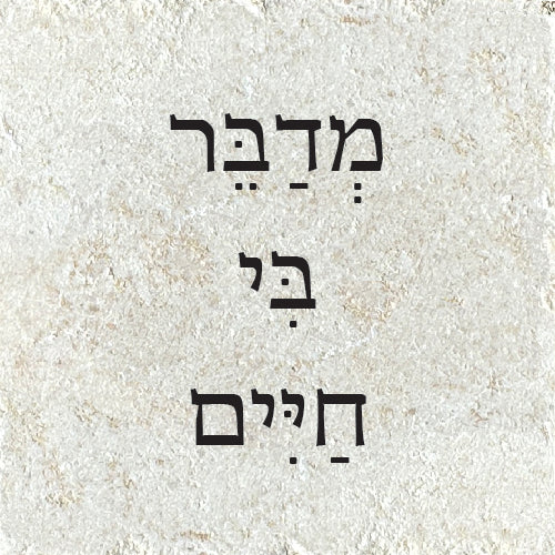 מְדַבֵּר בִּי חַיִּים