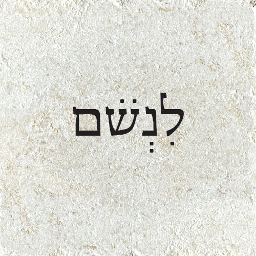 לִנְשֹׁם
