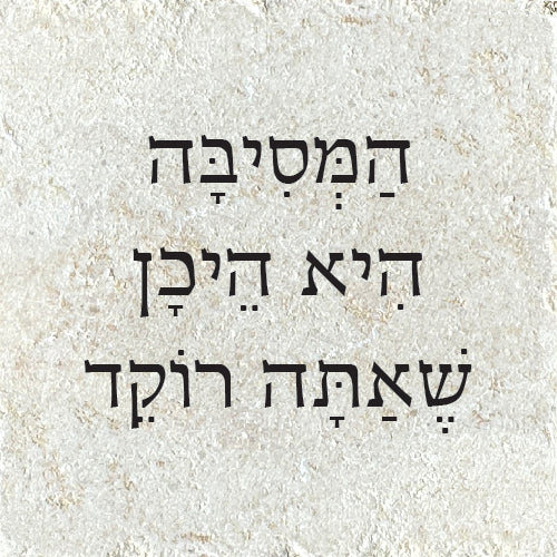 הַמְּסִיבָּה הִיא הֵיכָן שֶׁאַתּ/ה רוֹקֵד/ת