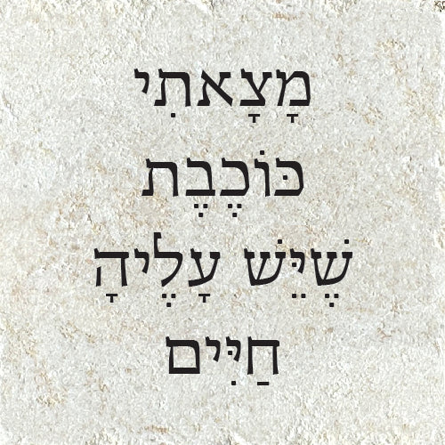 מָצָאתִי כּוֹכֶבֶת שֶׁיֵּשׁ עָלֶיהָ חַיִּים