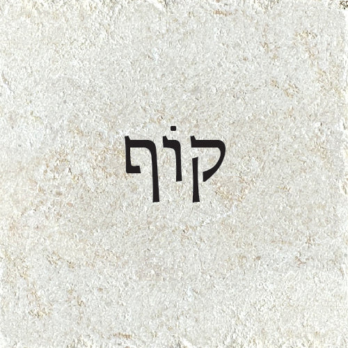 קוף