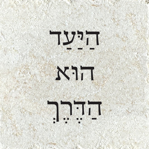 היעד הוא הדרך