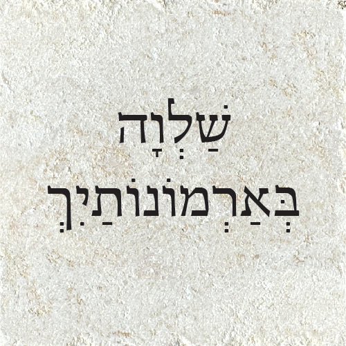 שַׁלְוָה בְּאַרְמוֹנוֹתיך