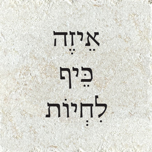 אֵיזֶה כֵּיף לִחְיוֹת