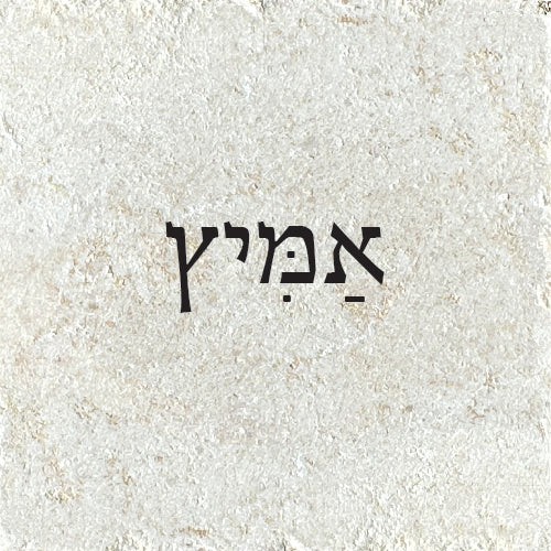 אַמִּיצָ/ה