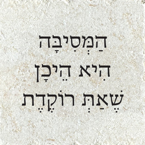 הַמְּסִיבָּה הִיא הֵיכָן שֶׁאַתּ/ה רוֹקֵד/ת
