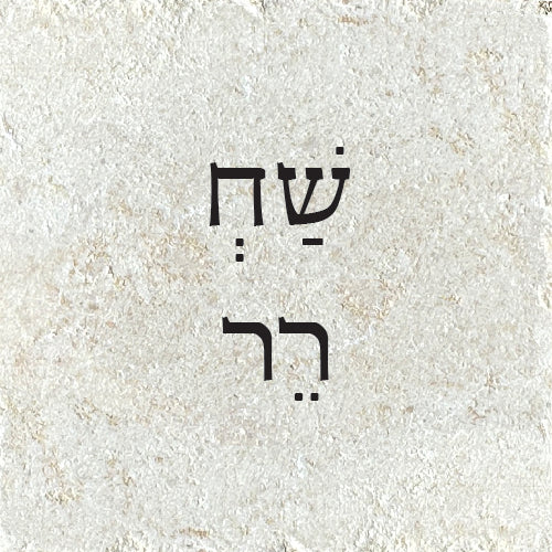 שַׁחְ רֵר