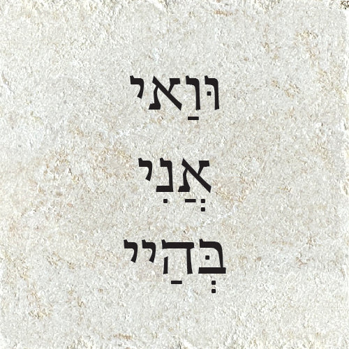 וואי אני בהיי