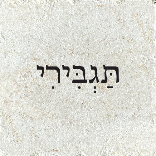 תַּגְבִּירִי