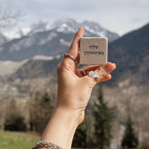 שַׁלְוָה בְּאַרְמוֹנוֹתיך