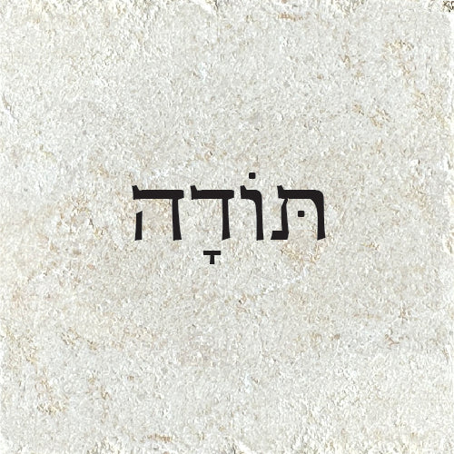 תודה