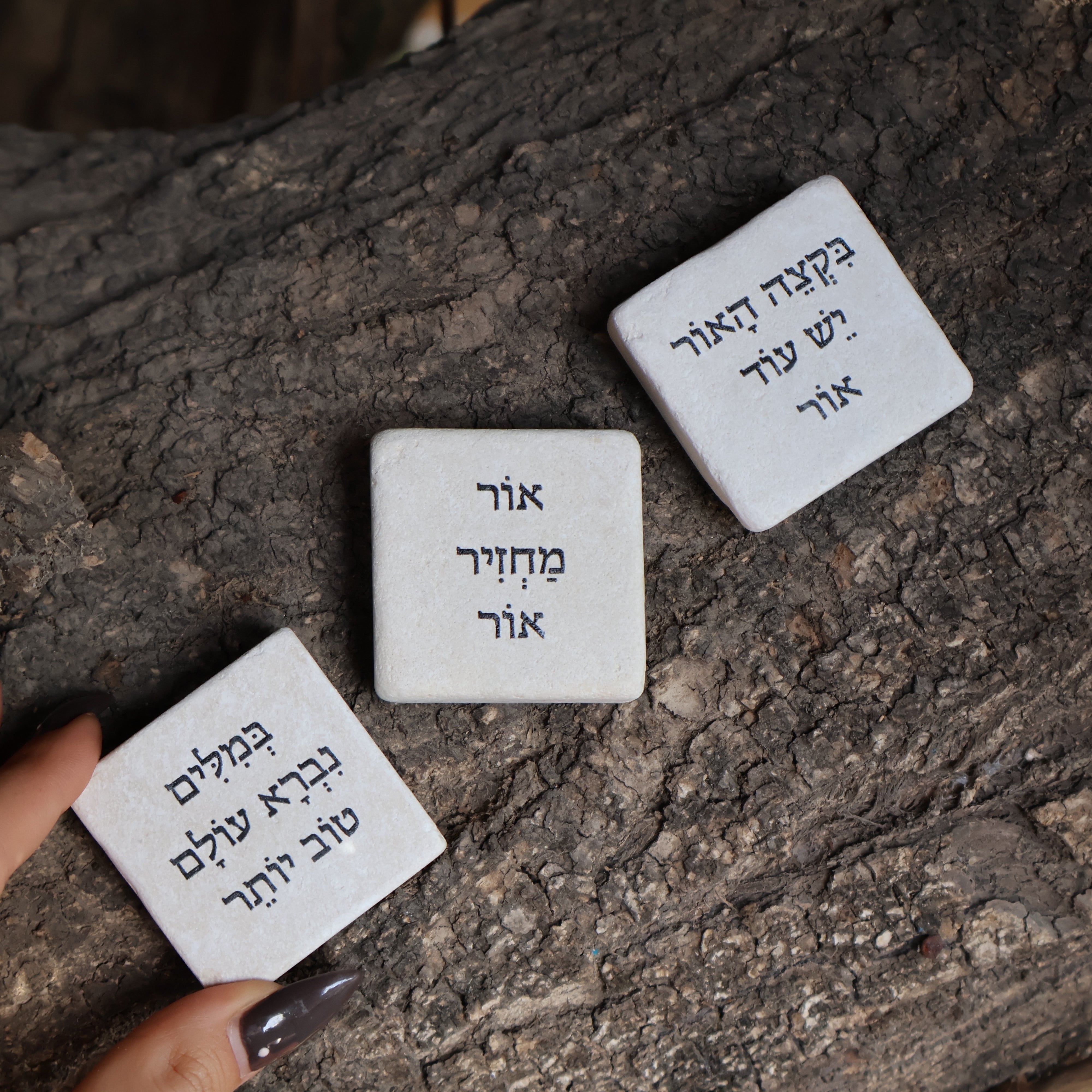 הבחירות שלנו