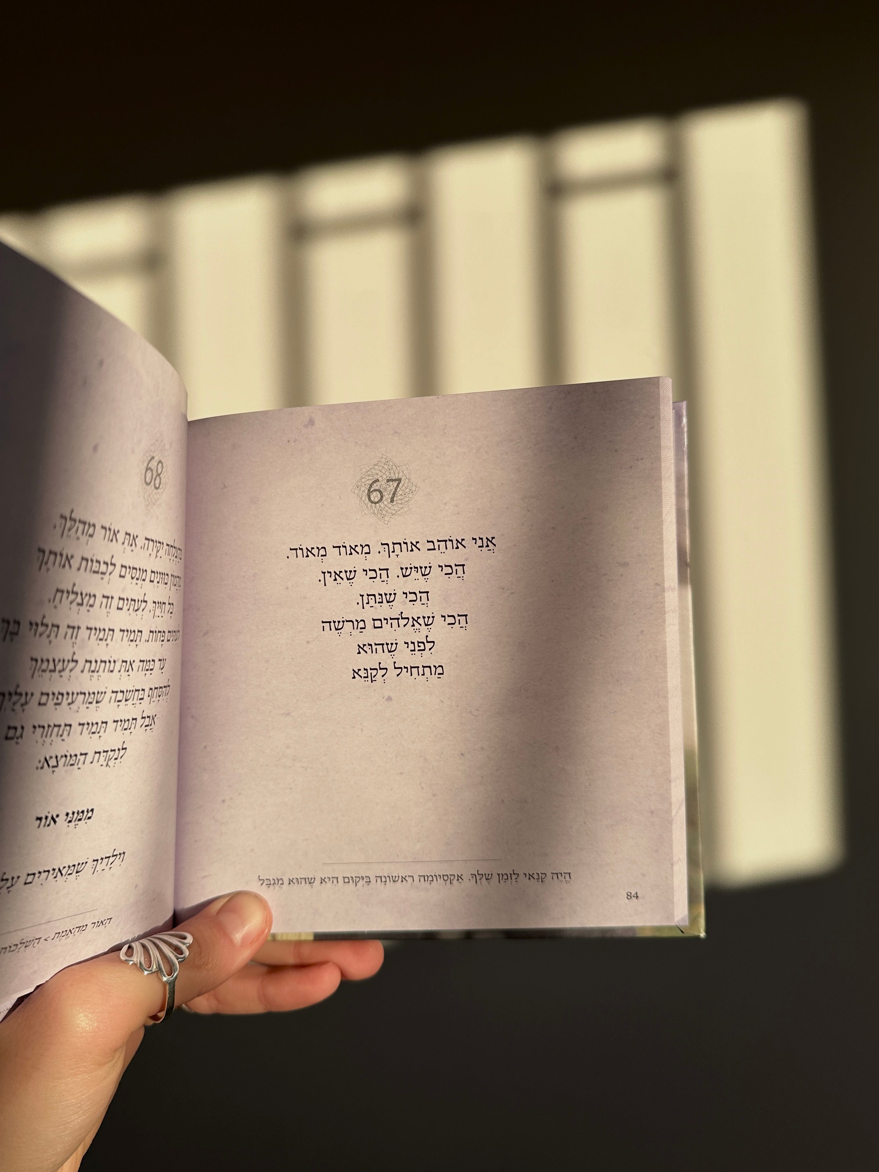 פִּיּוּס וְשִׂמְחָה