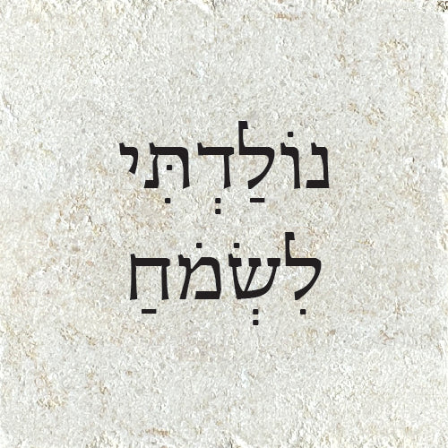 נוֹלַדְתִּי לִשְׂמֹחַ